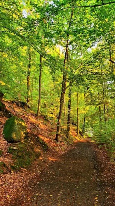 Apartmán Zlaty V Soukromi Mala Skala Cesky Raj