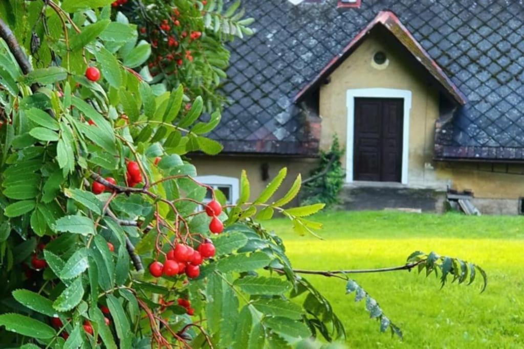 Apartment Zlaty V Soukromi Mala Skala Cesky Raj