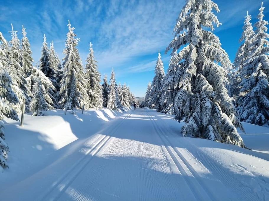 Zlaty V Soukromi Mala Skala Cesky Raj Apartmán