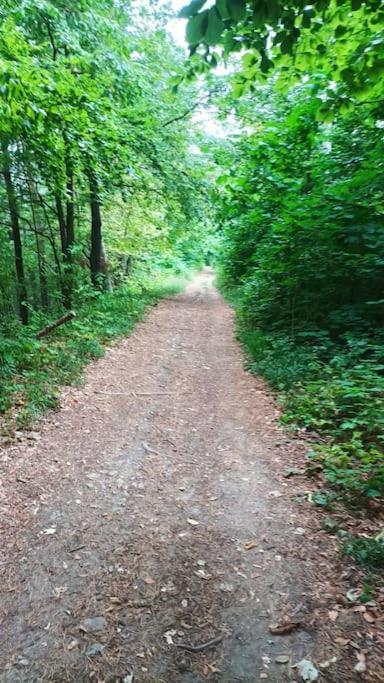 Zlaty V Soukromi Mala Skala Cesky Raj Koberovy